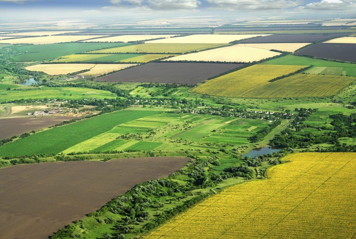 Названо основні 7 питань до запровадження в Україні ринку землі