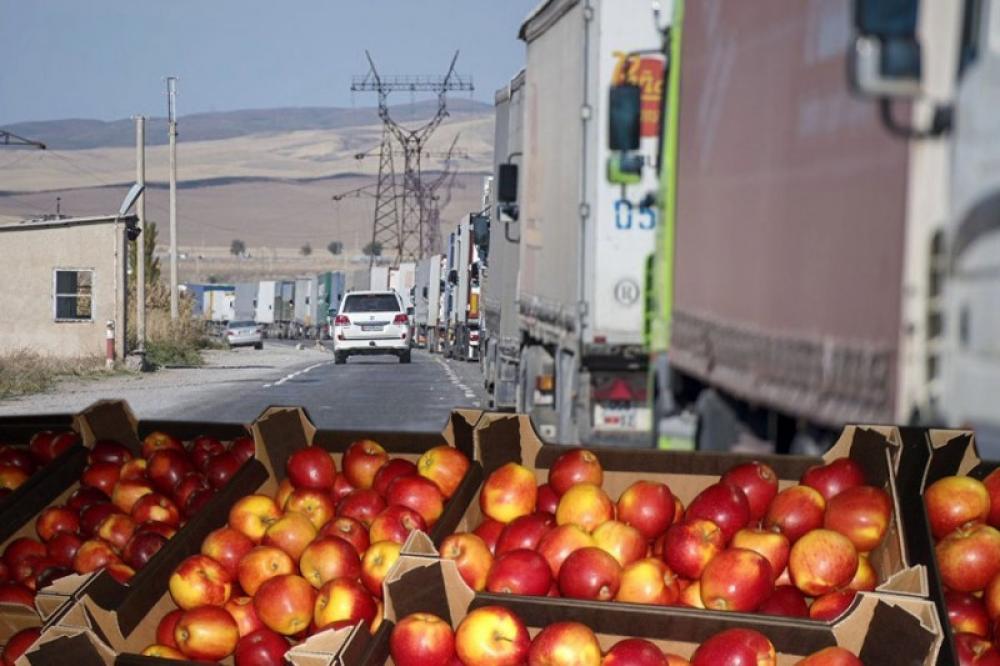 Україна оновила рекорд з імпорту фруктів, які можуть вирощувати вітчизняні фермери