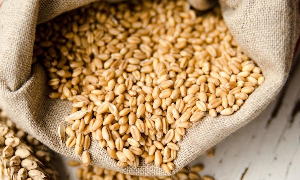 До лютого Мінекономіки не переглядатиме умови зернового меморандуму
