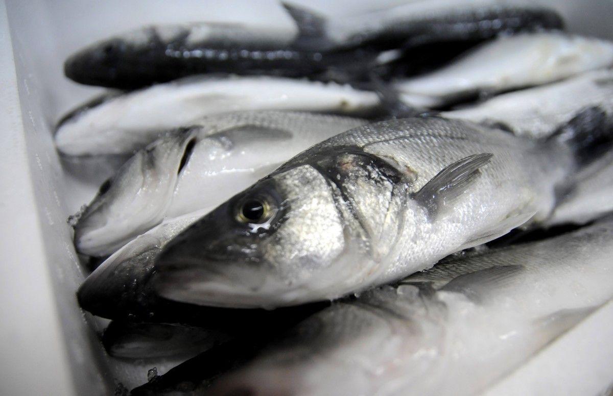 Грошові надходження від експорту української готової та консервованої риби склали понад $6,8 млн