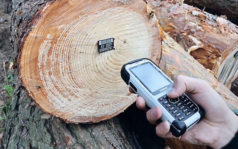 ФАО допоможе вдосконалити електронний облік деревини в Україні
