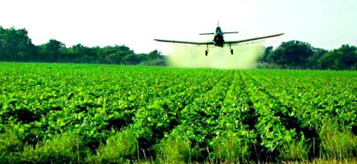 Українське законодавство з регулювання пестицидів уже застаріло – заява