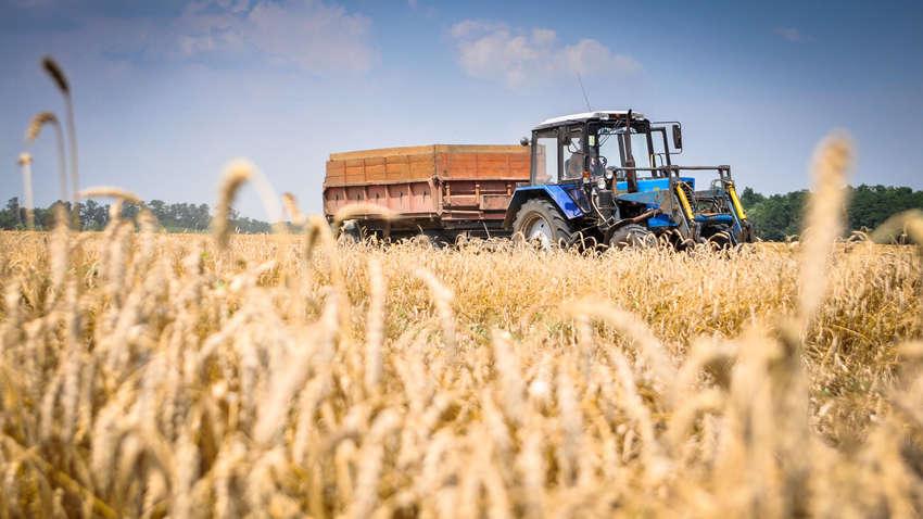 Уряд затвердив порядок здешевлення сільськогосподарської техніки 
