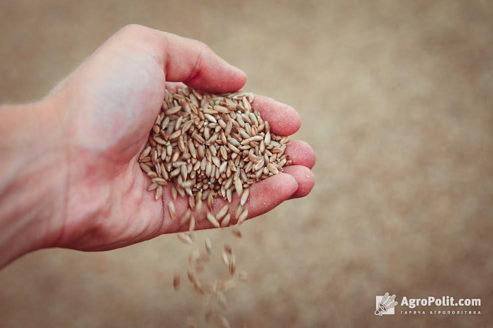 У Раді зареєстрували законопроєкт щодо тимчасового застосування ставок ввізного мита на окремі види зернових культур