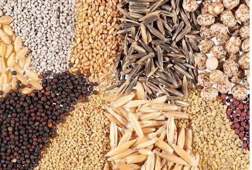 УЗА звернулася в Кабмін з проханням ліквідувати монополію на ринку сертифікації насіння