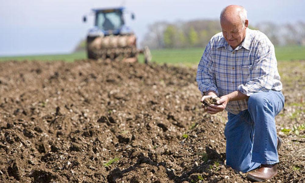 Провал голосування за фонд гарантування кредитів для малих фермерів показав, що Україні вони не потрібні, – експерт 