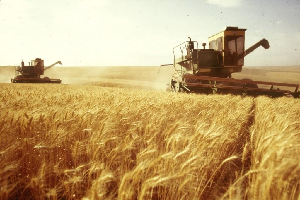  Україна експортувала 52 млн т зернових