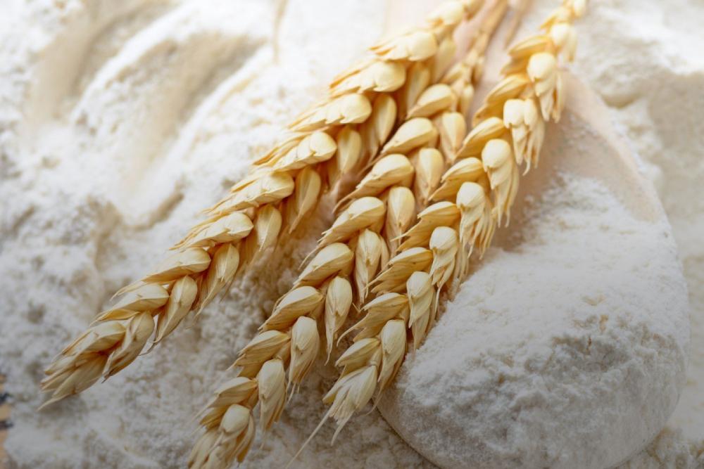 Україна експортувала майже 54 млн т зерна