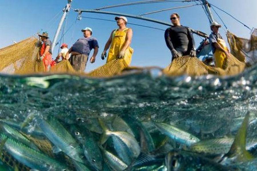  Рибалки погрожують масштабним протестом через корупцію в Держрибагентстві