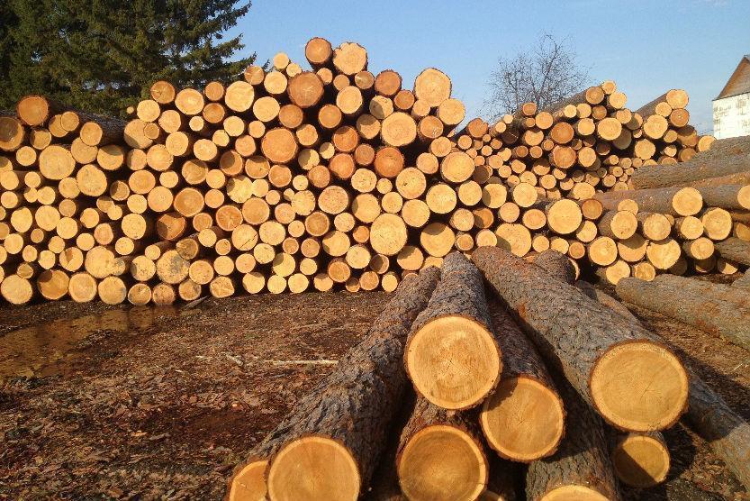 В арбітражному процесі з ЄС із розгляду спору про заборону Україною експорту лісу-кругляку залишився останній етап