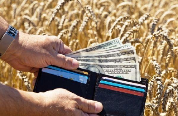 В Україні впав рівень зарплат в агросекторі 