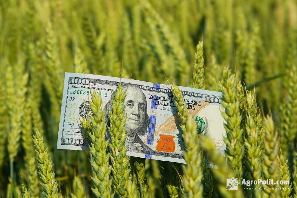 В Україні немає адекватної податкової політики для аграріїв, — фермер