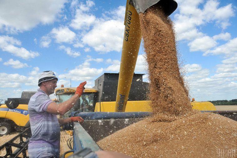 Ціни на українську пшеницю в портах зростають