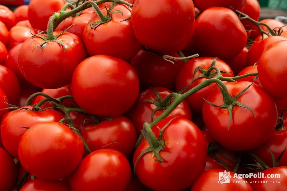 Ціни на томати в Україні за рік піднялися вдвічі 