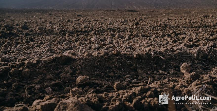 Збитки від посухи перевищують 6,5 млрд грн, — нардеп
