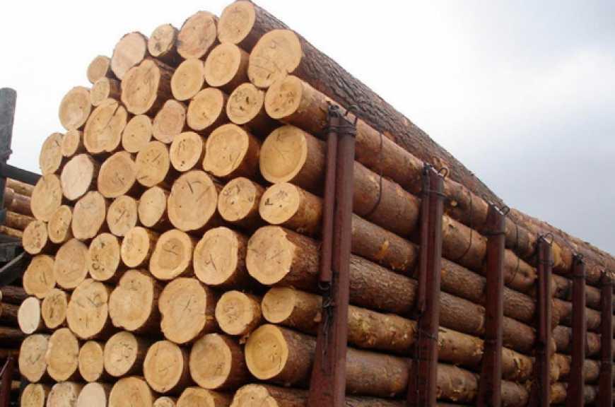 Арбітраж із ЄС щодо заборони Україною експорту лісу-кругляку може коштувати Україні до 1 млн євро