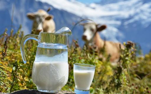 Україні пропонують запровадити дзеркальні квоти по відношенню до експорту молочної продукції з ЄС