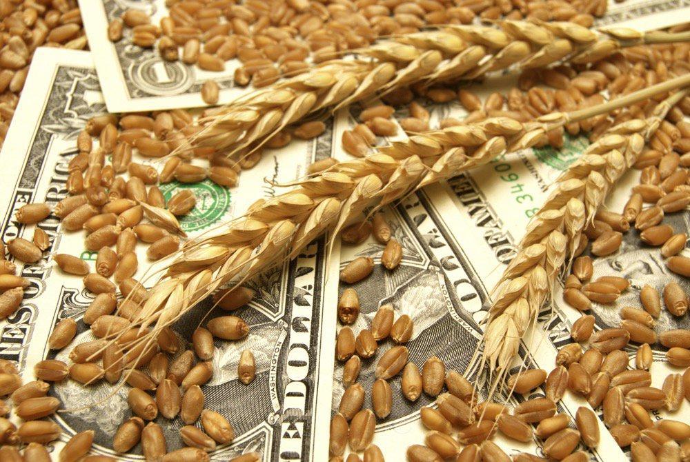 Україна експортувала 12 млн т зерна з початку сезону
