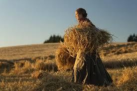 В Україні зросла кількість фермерських господарств