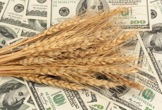 Депутати пропонують встановити мінімальні ціни на зернові