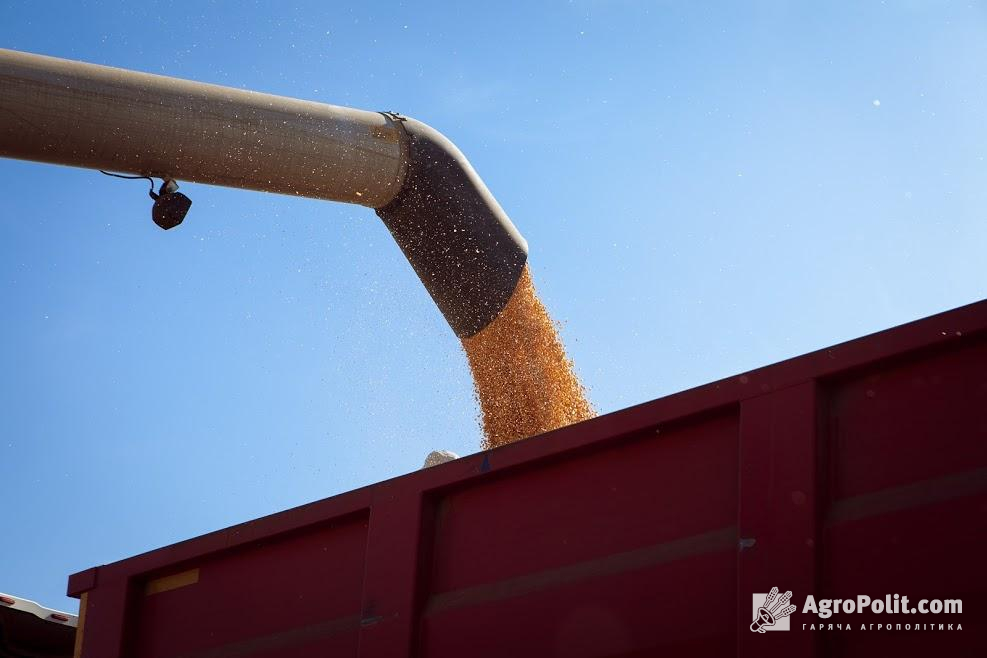 З України експортували 16,5 млн т зерна нового врожаю  
