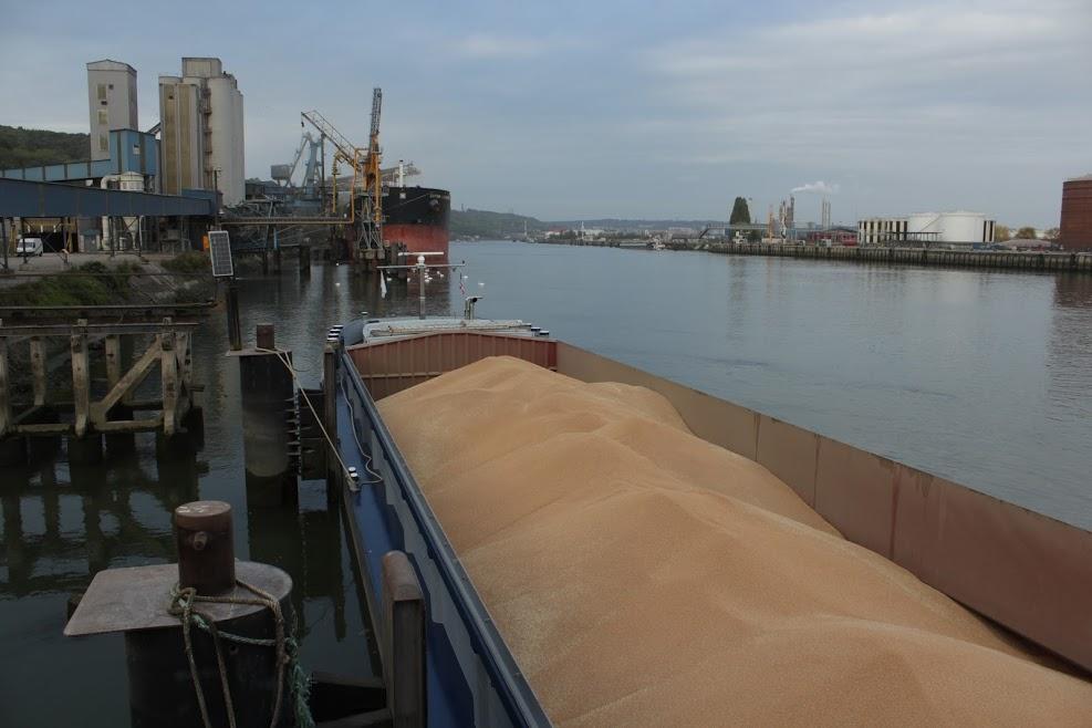 Українські морські порти перевалили майже 40 млн т зерна