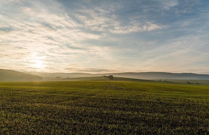 Ринок землі в Україні у 2021 році формуватиметься договорами емфітевзису 