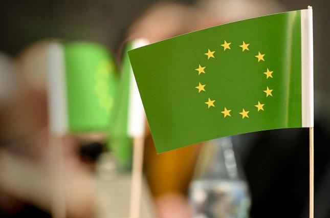 Озвучено негативні наслідки Європейського зеленого курсу для українського бізнесу