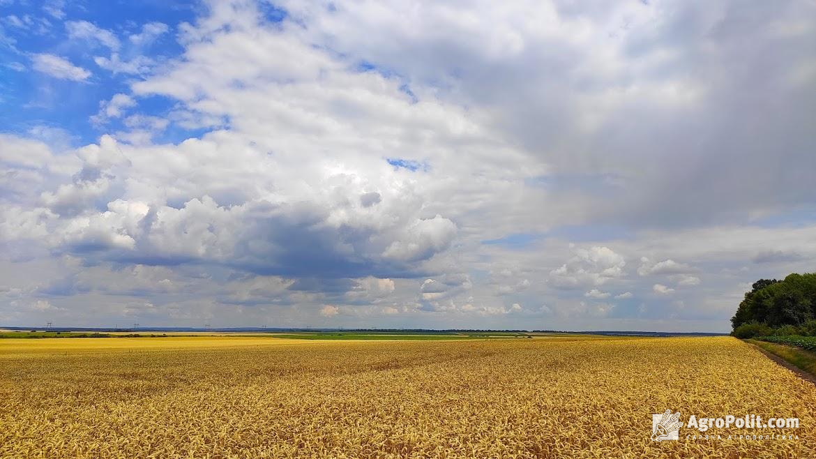 В Україні укладено 5 млн договорів оренди землі