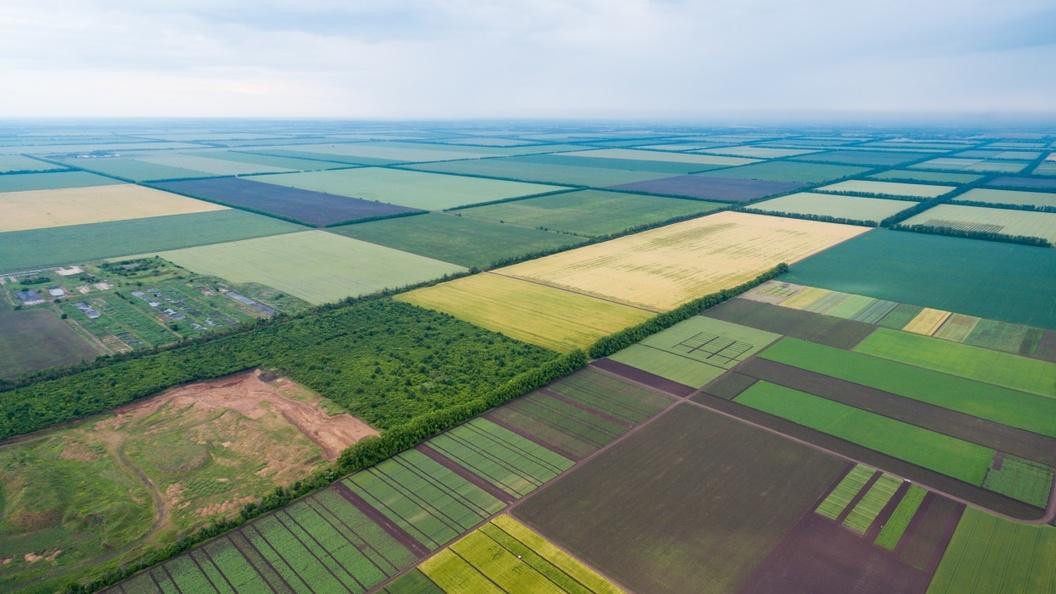 Земельна реформа України –  дайджест головних подій 2020 року