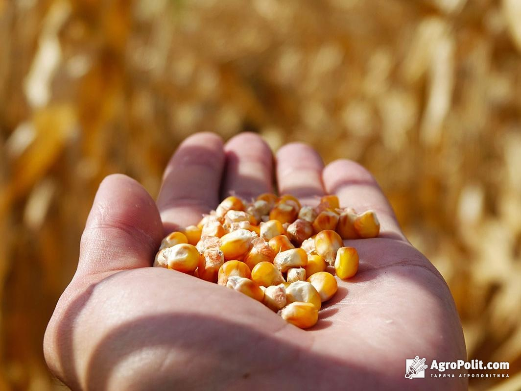У 2020 році в Україні зафіксували «кукурудзяний антирекрод»