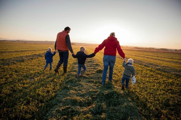 На Львівщині виділять 17 млн ​​грн на створення сімейних ферм