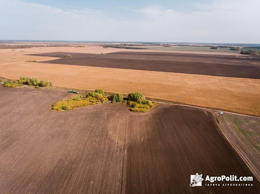 Найпоширеніші способи відчуження земель в Україні 