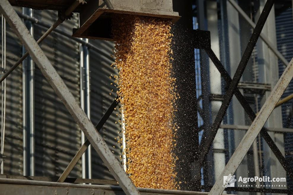 Китай втричі збільшив закупівлю української кукурудзи