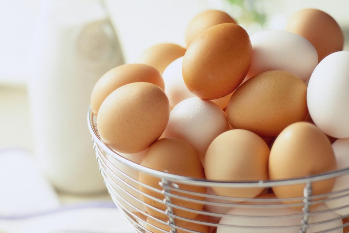 Виробництво яєць в Україні зменшилося на 16,3%