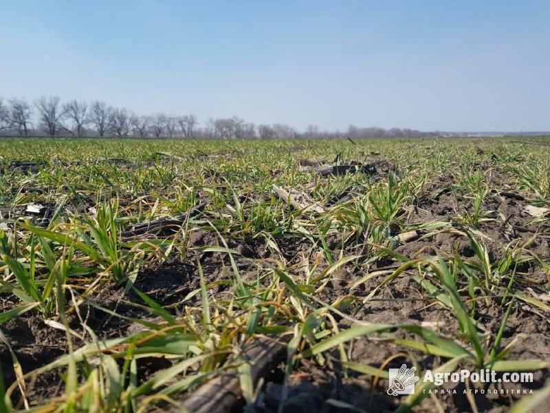 В Україні збільшать площу зрошуваних земель на третину