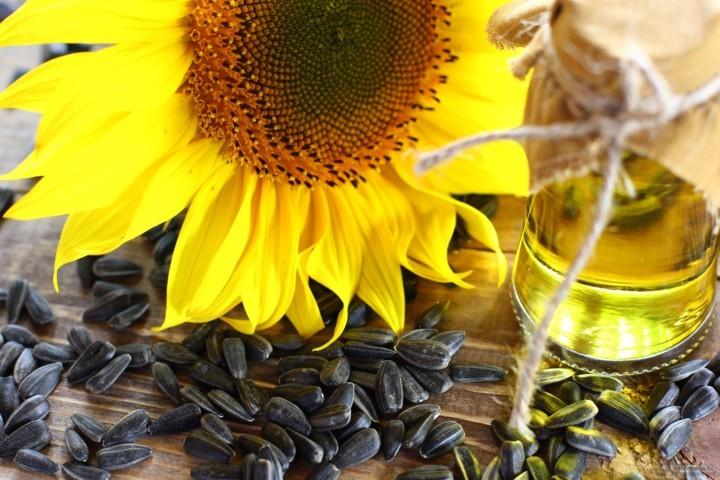 Україна торік експортувала рекордний обсяг соняшникової олії