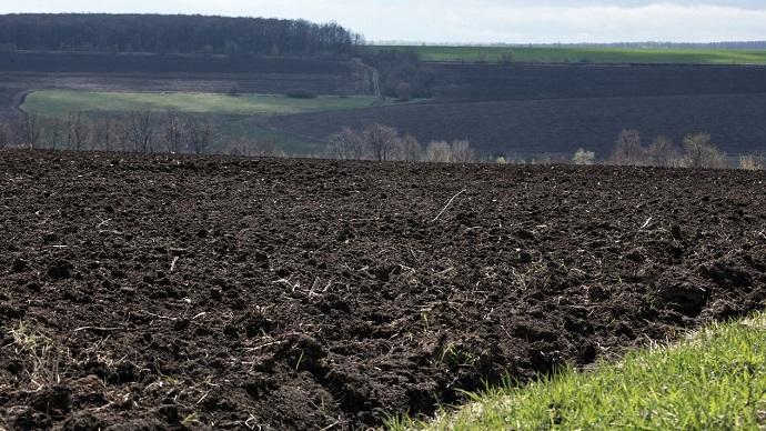 Експерт розповів, чи можна сьогодні в Україні отримати 2 га безкоштовної землі