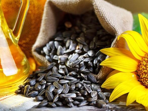 Експорт українського насіння соняшнику зріс у 3,6 раза