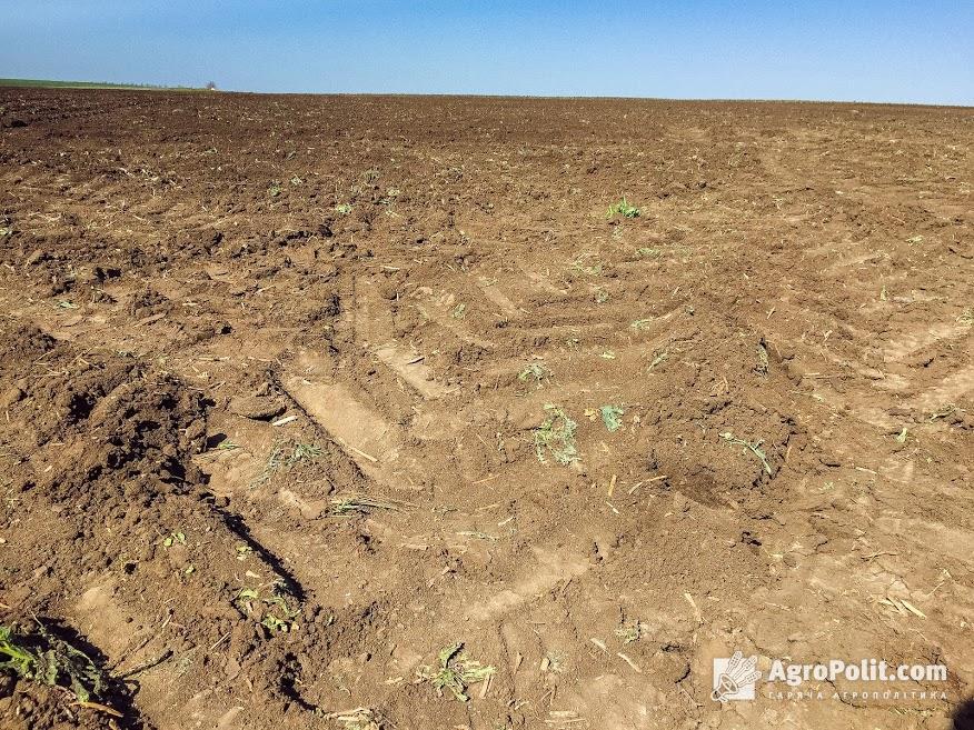 В Україні орендарям землі заборонили випалювати залишки рослин