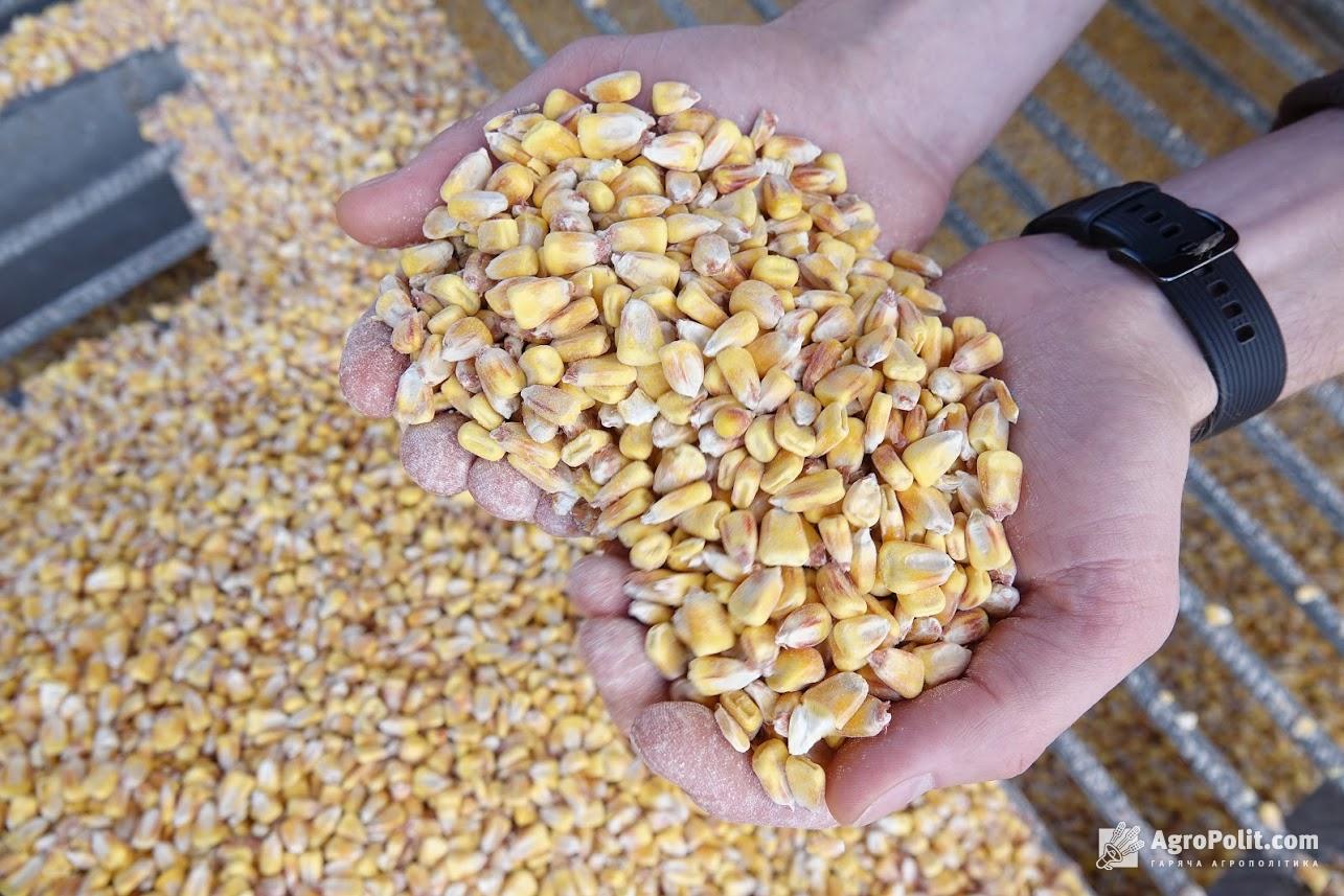 Україна цього сезону скоротила експорт зернових на понад 23%