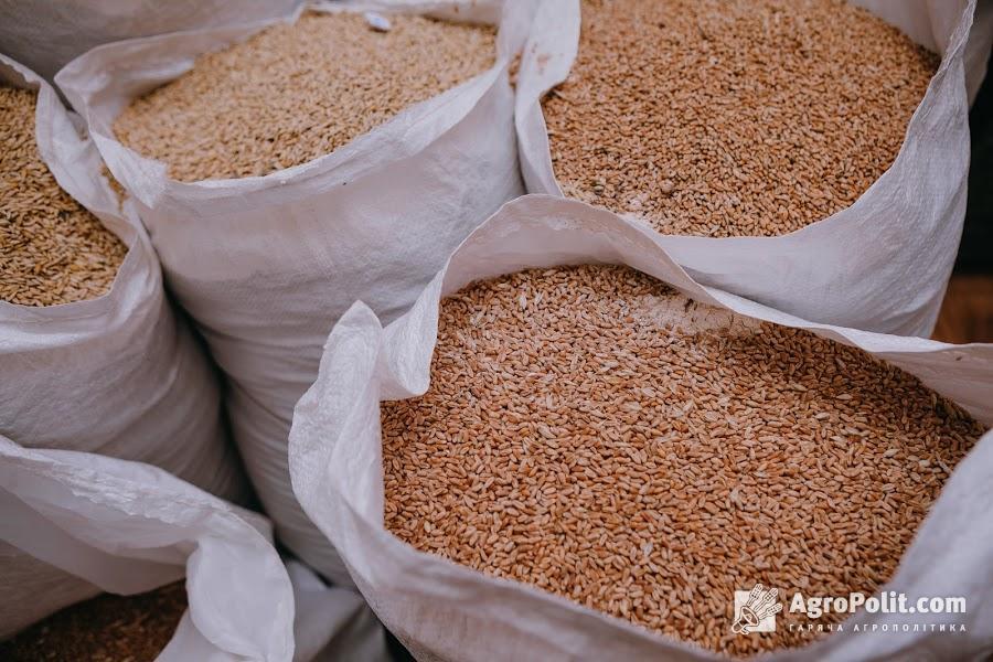Ціни на зернові зросли на 6% за місяць