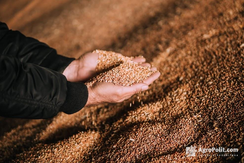 Україна продовжує скорочувати експорт зерна