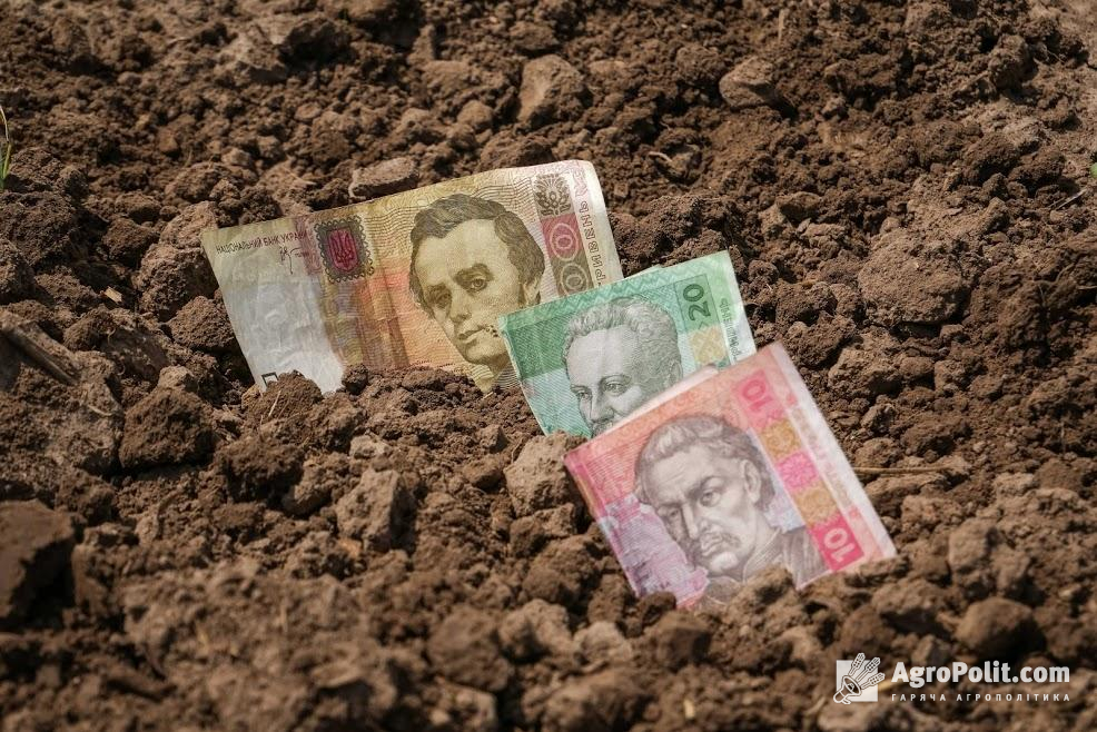 У Кабміні озвучили, скільки коштуватиме гектар землі в Україні після 1 липня 