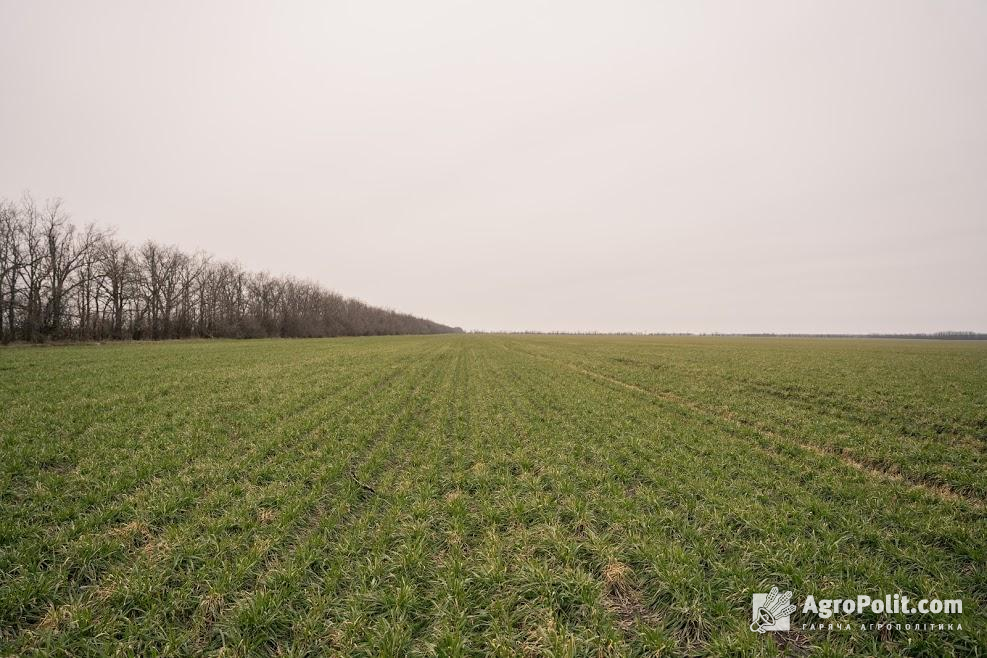 В Україні ініціюють зменшення площі сільгоспземлі для набуття у власність юрособам до 500 га