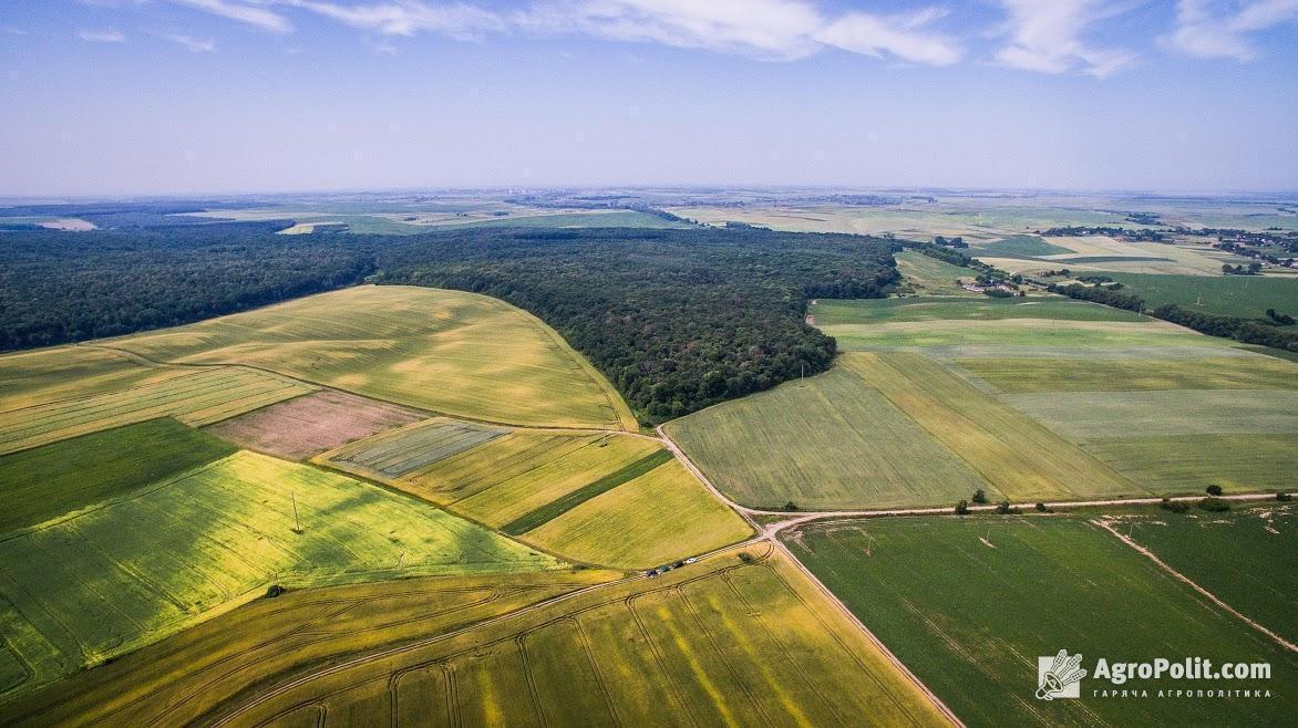 Ринок землі: в Україні здійснено 2 901 земельну операцію