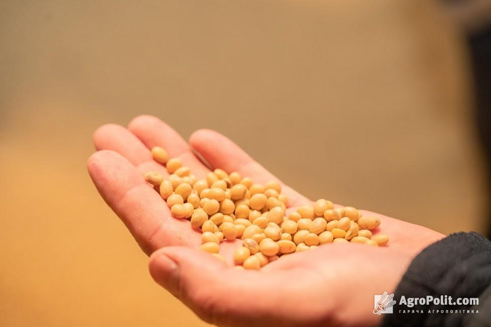 Експорт зернових перевищив 3 млн т, — Мінагро