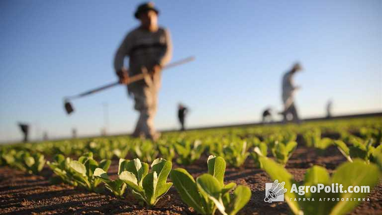 Уряду пропонують закріпити фермерство основою аграрного устрою України у Конституції