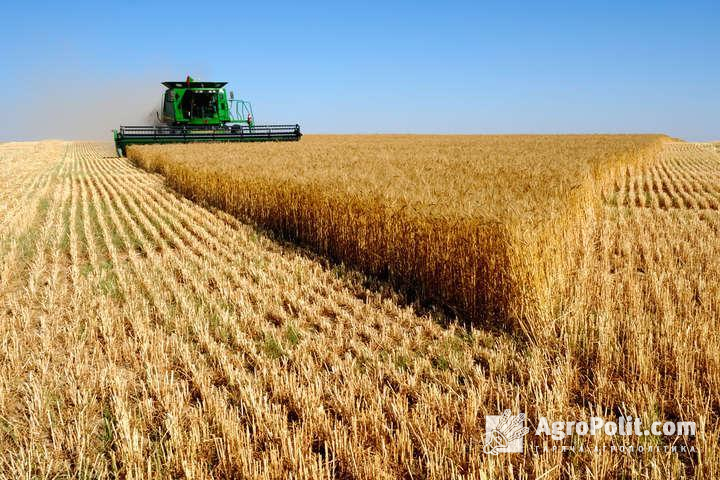 Прогноз врожаю пшениці в Україні в новому маркетинговому році підвищено на 3 млн тонн