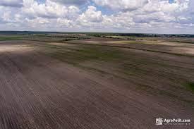 За півтора місяці ринку землі в Україні здійснено 7,9 тис. земельних угод